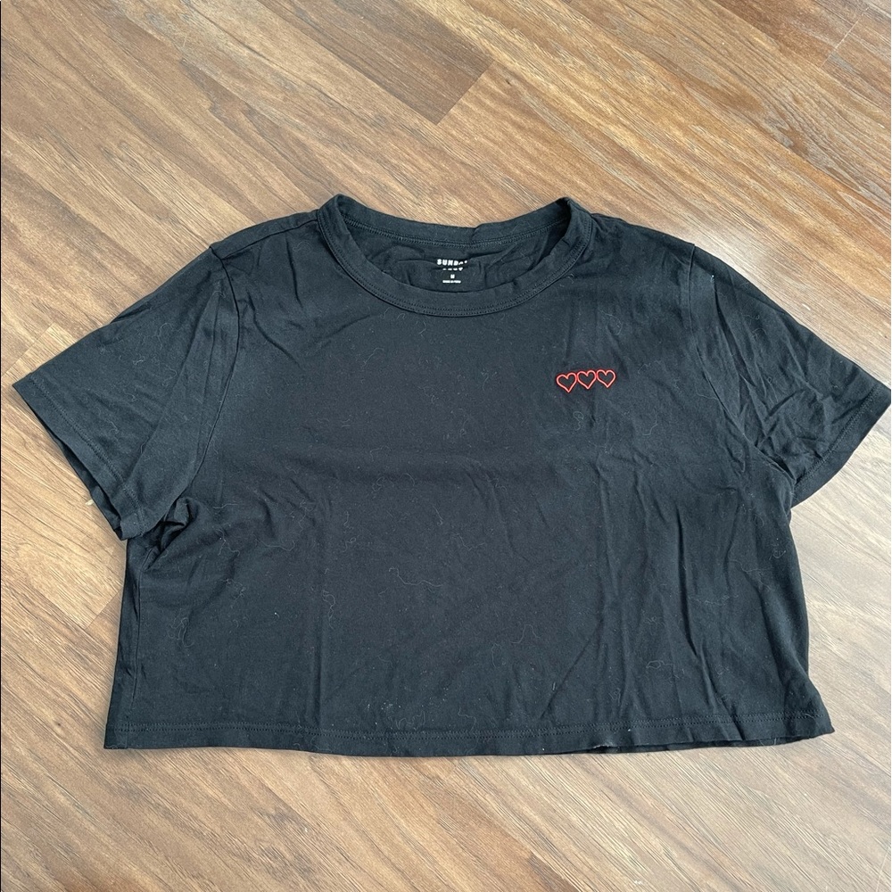Sundays best (aritzia) crop top